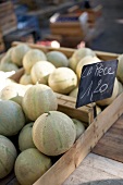 Close-up of charentais melons in wooden box at market