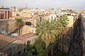 Blick über die Dächer von Barcelona, Palmen, Häuser, sommerlich.