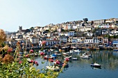 Blick über Hafen auf Fischereistädtchen Brixham, Häuser, Boote