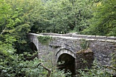 Blick auf alte Steinbrücke im Grünen in Dartmoor, Bäume, Devon.