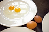2 aufgeschlagene Eier auf weißem Teller, Eigelbe, Eiweiß