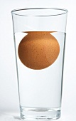 Frischetest: Hühnerei schwimmt im Wasserglas, schlechtes Ei, Step