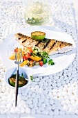 Gegrilltes Zanderfilet mit Koriander u. Fenchel, Gurken-Mango-Salat