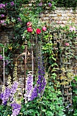 Overgrown flowering plants on house wall and trellis