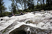 People canoeing in river at Keller Edersee National Park in Hessen, Germany