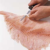 Fisch, Rochenflügel filetieren : Step 5, Sehnen entfernen