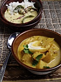 Indisch kochen, Joghurtcurry und Eier-Kartoffel-Curry