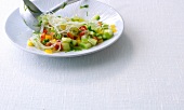 Nudelsalate, Glasnudelsalat mit Wasabi-Gazpacho-Dressing