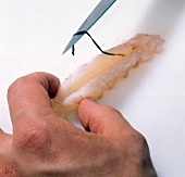 Close-up of hand lifting up shrimp intestine with knife tip, step 7