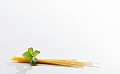 Kürbis und Zucchini, Spaghetti roh, Basilikumblätter