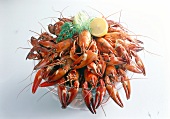 Bowl of boiled crayfish with dill and lemon