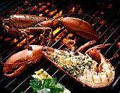 Lobster with parsley on the charcoal grill