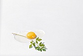 Kürbis und Zucchini, rohes Ei aufgeschlagen, Petersilie