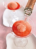 Grapefruit sorbet with alcoholic drink in glass