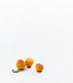 Three apricots on white background