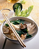 Chicken stew with noodles, mushrooms and spinach in bowl with chopsticks