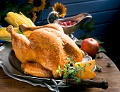 Close-up of stuffed turkey with corn on silver plate