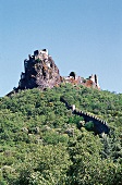 Schlossruine Rochemaure an der Ardèche