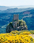 Schloss Rochebonne in der Ardèche 