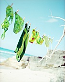 Various green patterned bikini hanging on clothes line