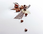 Various shapes of chocolate with chocolate lattice on white background