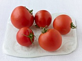 viele rote Tomaten, Sorte Oldendorfer Tomate Nr. 22B