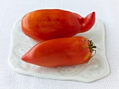 Andenhron tomato on white background