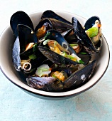 Close-up of spicy Thai mussels with spring onions, chilli and garlic in bowl