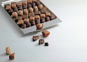 Tray with variety of chocolates on white background