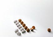 Coffee truffle and black forest truffle in a row on white background