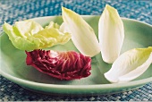 Close-up of lettuce, radicchio and chicory on green dish