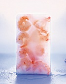 Frozen shrimps in ice block