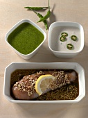 Saucen & Dips, Kräuter-Marina- de, Teriyaki- und Tandoori-Marinade