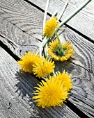 Yellow dandelions on wood