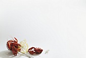 Crayfish on slotted spoon and dill on white background