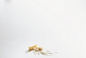 Piece of pecorino cheese and grated cheese on white background