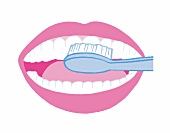 Illustration: Zähne richtig putzen Step 3 von 6