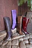 Four boots in gray, red, purple and brown colour kept against wooden wall