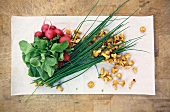 Fresh radishes, chives and chanterelles on paper, overhead view