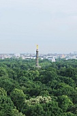 Blick auf Siegessäule und Berlin 