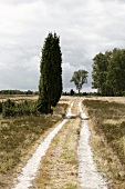 Lüneburger Heide, Landschaft, bewölkt