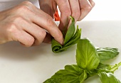 Basil leaves being rolled up, step 1