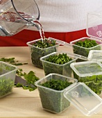 Water being poured in plastic container with herbs, step 3