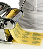 Dough with herbs being passed through pasta maker, step 2