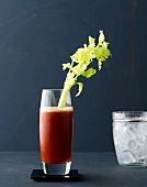 Classic bloody Mary with celery in tall glass