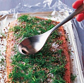 TBN Seafood - Graved Lachs, Step 2: Gewürze, Dill, Salz