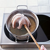 TBN Seafood - Seafood Gazpacho Step 1: Krake in Wasser tauchen