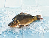 TBN Seafood - Karpfen