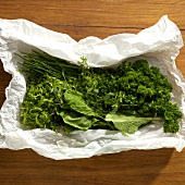 Different fresh green herbs on paper