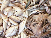 Fische und Oktopusse auf Markt, Pilion, Griechenland.
